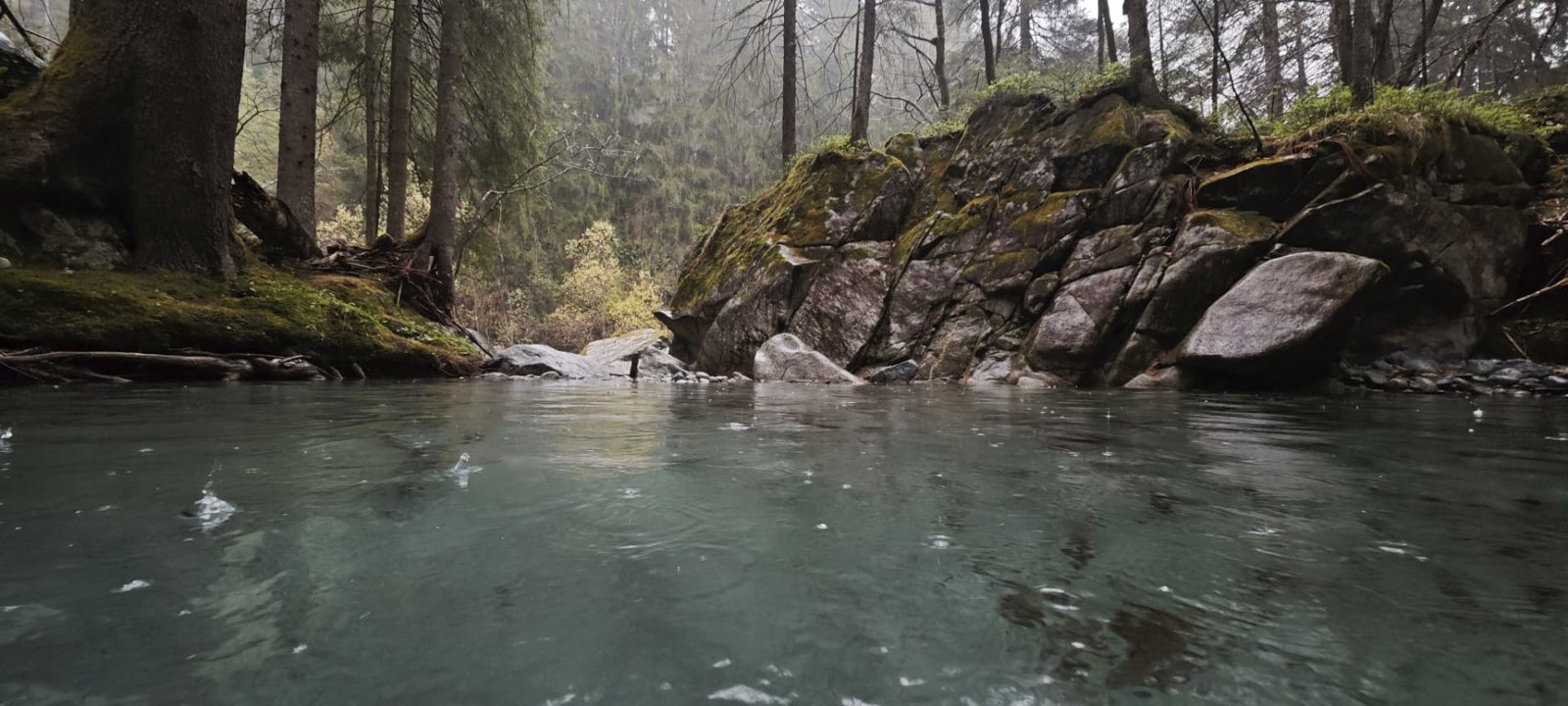 Torrente nel bosco tra rocce e muschio