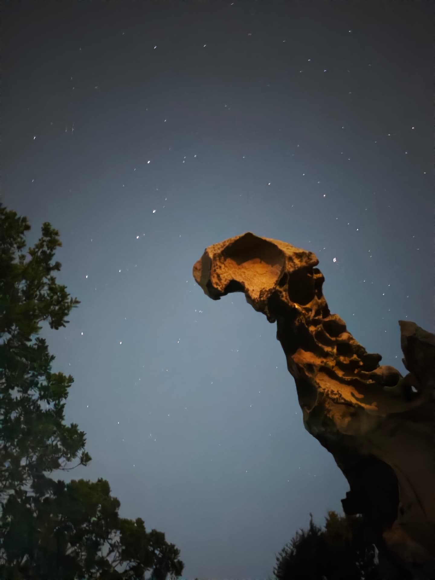 Copertina del libro La teoria della Rivoluzione Organica: la Roccia del Drago illuminata sotto un cielo stellato