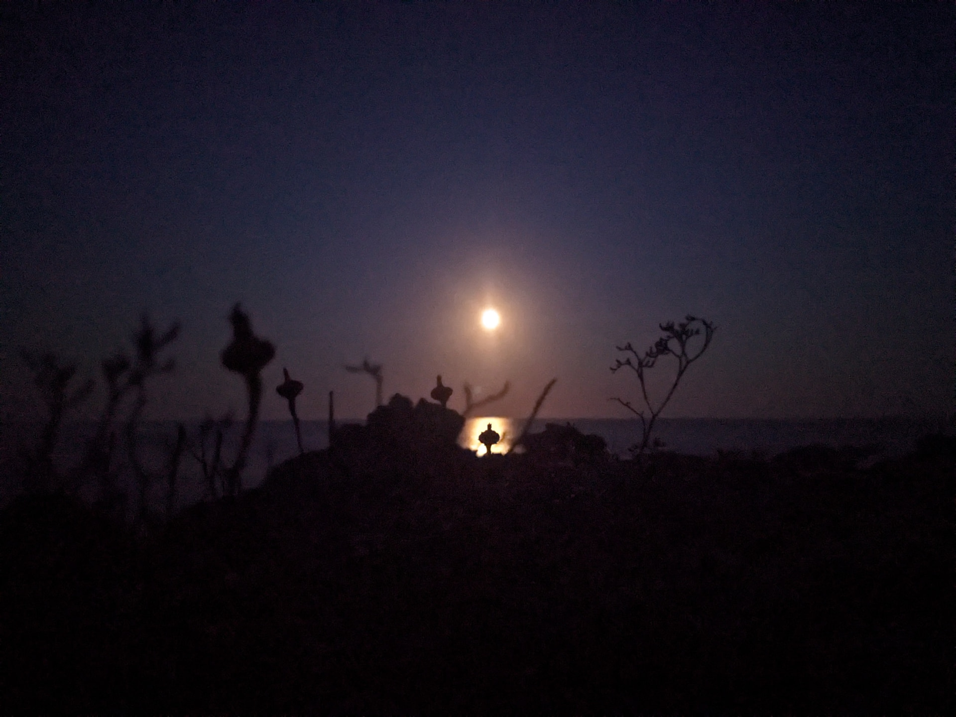 Luna piena sul mare