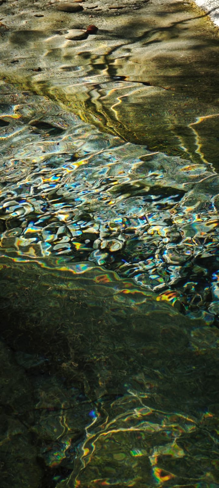 Riflessi dorati sull'acqua del torrente